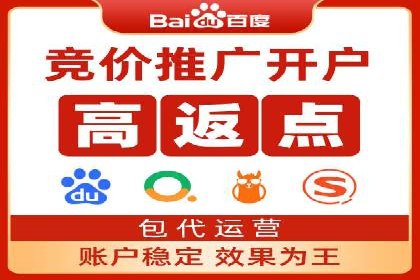 竞价SEM托管案例：精准营销的利器